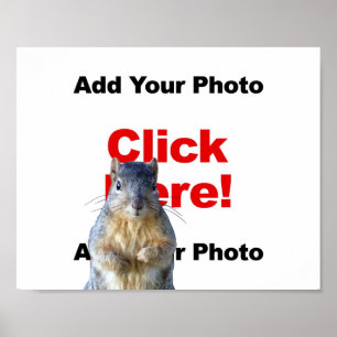 Voeg een eekhoorn op maat gemaakte foto poster toe