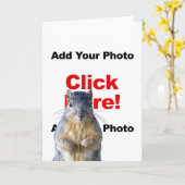 Voeg een Eekhoorn Wenskaart voor aangepaste foto t Kaart (Gele Bloem)