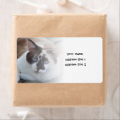 voeg een etiket van de huisfoto toe 2020 (Insitu)