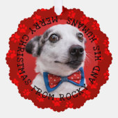 Voeg foto & naam grappige Kerstmis hondenpootafdru Ornament Kaart (Voorkant)