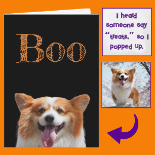 Voeg foto toe! Leuk Schattig Kiekeboe Corgi Hond H Kaart