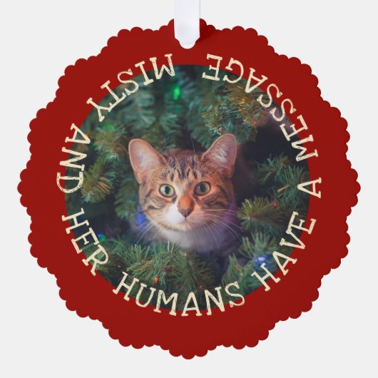 Voeg grappige kerstkat foto op aandenken jaarlijks ornament kaart (Voorkant)