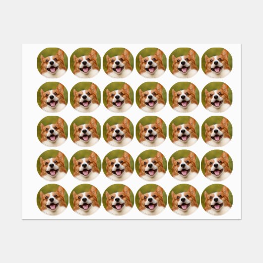 Voeg hondenfoto toegepersonaliseerd aan labels (Vel)