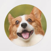Voeg hondenfoto toegepersonaliseerd aan labels (Design 1)