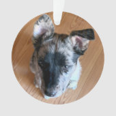 Voeg je aangepaste pop-upfoto van Cute Tweezijdig  Ornament (voorkant)