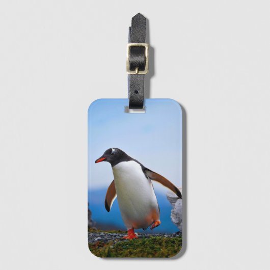 Voeg je eigen Afbeelding foto template aangepaste  Bagagelabel (Voorkant (verticaal))