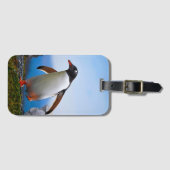 Voeg je eigen Afbeelding foto template aangepaste  Bagagelabel (Voorkant (horizontaal))