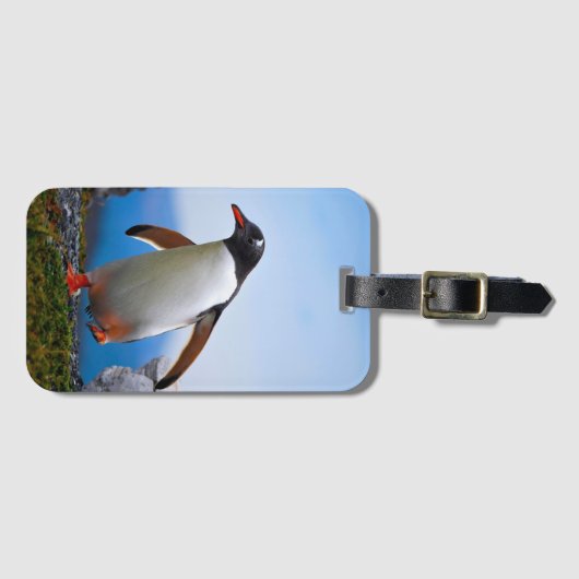 Voeg je eigen Afbeelding foto template aangepaste  Bagagelabel (Voorkant (horizontaal))