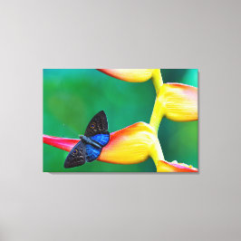 Voeg je eigen Afbeelding foto template aangepaste Canvas Afdruk