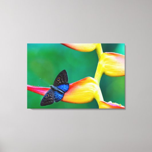 Voeg je eigen Afbeelding foto template aangepaste Canvas Afdruk (Voorkant)