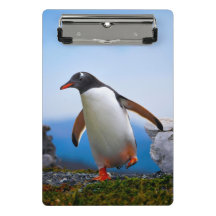 Voeg je eigen Afbeelding foto template aangepaste 