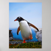 Voeg je eigen Afbeelding foto template aangepaste  Poster (Voorkant)