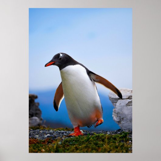 Voeg je eigen Afbeelding foto template aangepaste  Poster (Voorkant)