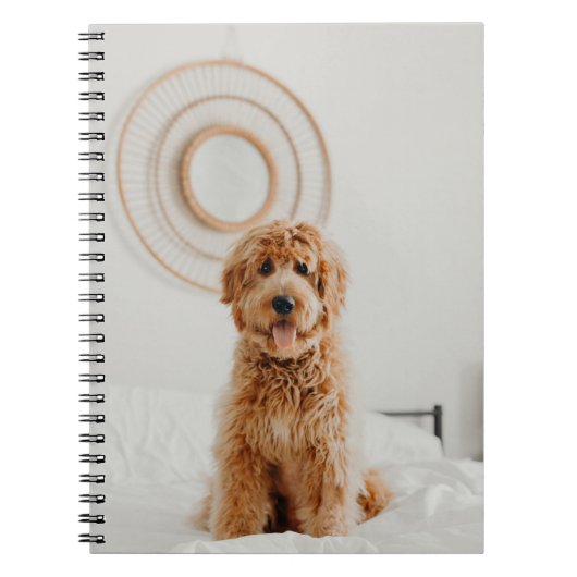 Voeg je eigen foto afbeelding logo DIY afbeelding Notitieboek (Voorkant)