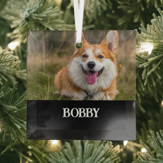 Voeg je eigen foto en naam toe glas ornament (Insitu)