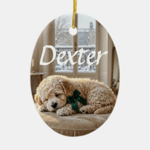 Voeg Je Eigen Foto Toe Cute Pets Keramische Kerstb Keramisch Ornament