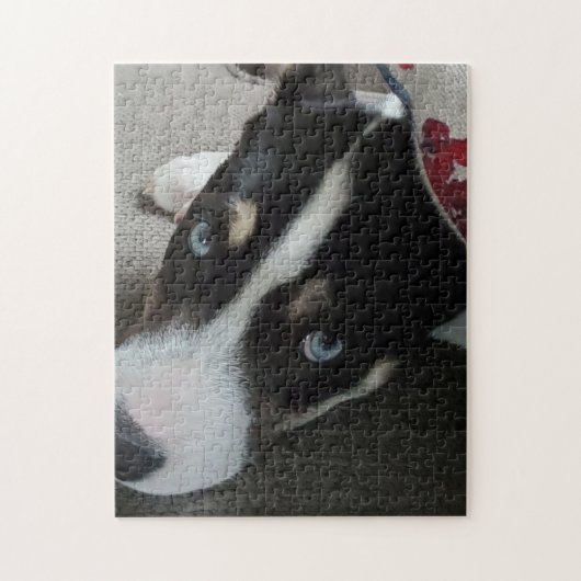 Voeg je eigen foto toe of laat deze Husky Pitbull  Legpuzzel (Verticaal)