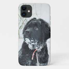 Voeg Je Eigen Foto van Je Newfie Newfoundlander To Case-Mate iPhone Case