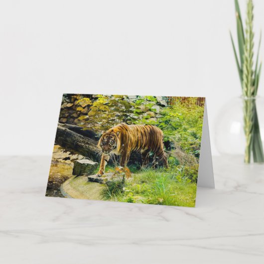 VOEG JE EIGEN TEKST Toe Tijger Kaart (Voorkant)