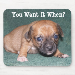 Voeg je eigen woorden toe - Chihuahua Mousepad Muismat