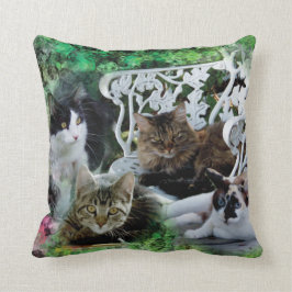 Voeg je favoriete pilaissje met je huisdierfoto to kussen