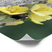 Voeg je foto kever toe op Mullein Flower Lijst Poster (Hoek)