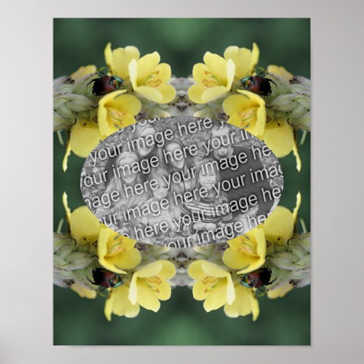 Voeg je foto kever toe op Mullein Flower Lijst Poster (Voorkant)