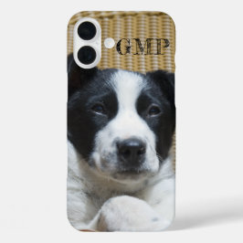 Voeg je foto-rand Collie Heeler Puppy Monogram toe iPhone 16 Plus Hoesje