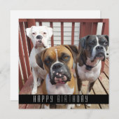 Voeg je foto toe | Gefeliciteerd met je verjaardag Aankondiging (Voorkant / Achterkant)