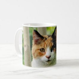 Voeg je huisdier kat foto toe aan koffiemok