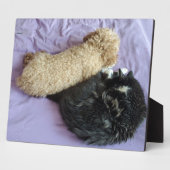 Voeg je leuke of grappige foto's toe fotoplaat (Zijkant)