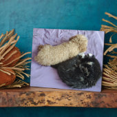 Voeg je leuke of grappige foto's toe fotoplaat (Zijkant)