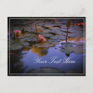 Voeg Jouw tekst Water Lily Beauful Briefkaart toe