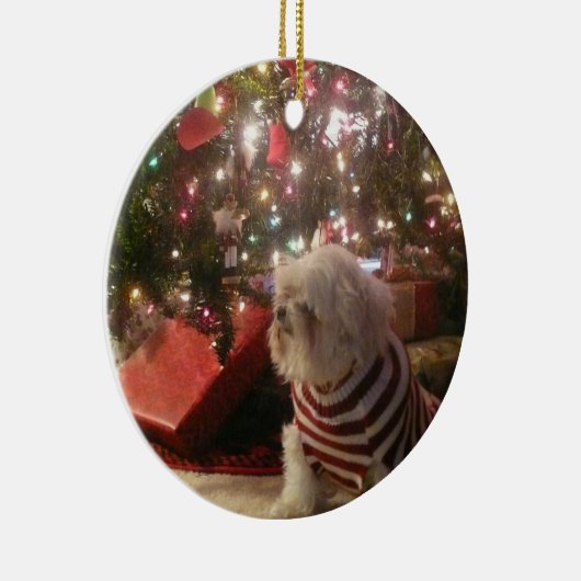 Voeg kerstboomversiering voor gezelschapsdieren to keramisch ornament (Rechts)