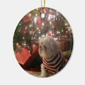 Voeg kerstboomversiering voor gezelschapsdieren to keramisch ornament (Links)