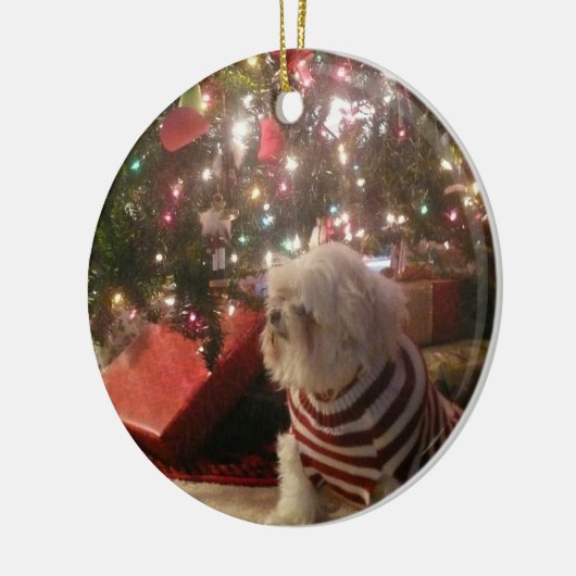 Voeg kerstboomversiering voor gezelschapsdieren to keramisch ornament (Links)