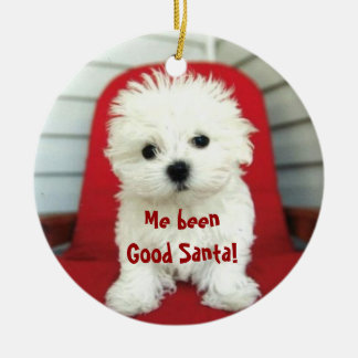 Voeg kerstboomversiering voor gezelschapsdieren to keramisch ornament