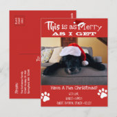 Voeg Pet Foto toe "Dit is even mooi als ik krijg"  Briefkaart (Voorkant / Achterkant)