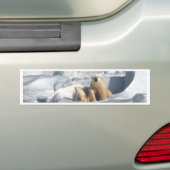 Voeg SLOGAN toe om Arctic Polar Beren Planet Ice t Bumpersticker (Op auto)