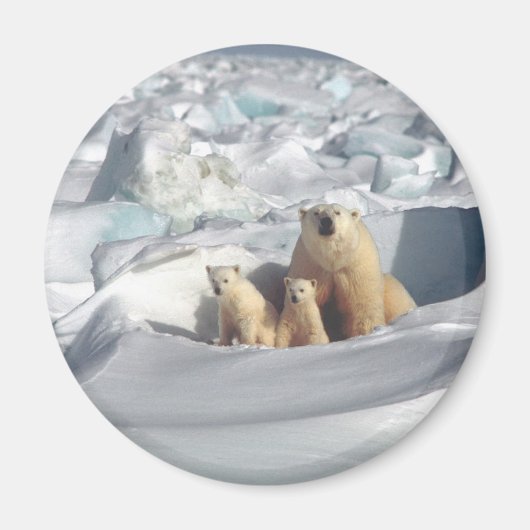 Voeg SLOGAN toe om Arctic Polar Beren Planet Ice t Magneet (Voorkant)