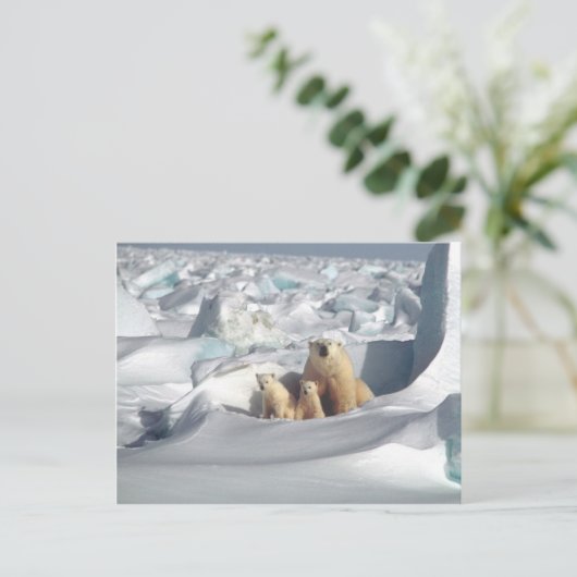 Voeg SLOGAN toe om het Arctische ijs van de planee Briefkaart (Staand voorkant)