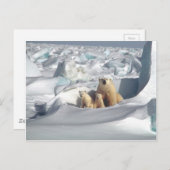 Voeg SLOGAN toe om het Arctische ijs van de planee Briefkaart (Voorkant / Achterkant)