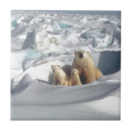 Voeg Slogan toe om het Arctische ijs van de planee Tegeltje