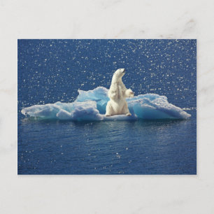 Voeg SLOGAN toe om Polaire Beren Arctic Planet Ice Briefkaart