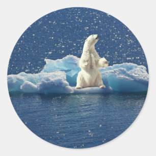 Voeg SLOGAN toe om Polaire Beren Arctic Planet Ice Ronde Sticker