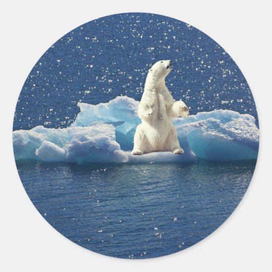 Voeg SLOGAN toe om Polaire Beren Arctic Planet Ice Ronde Sticker (Voorkant)