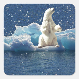 Voeg SLOGAN toe om Polaire Beren Arctic Planet Ice Vierkante Sticker