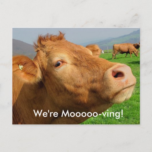 Voeg uw adres toe aan dit Briefkaart "We're Mooovi (Voorkant)
