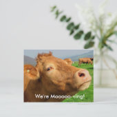 Voeg uw adres toe aan dit Briefkaart "We're Mooovi (Staand voorkant)