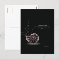 Voeg uw eigen boek cover boek auteur schrijver pro